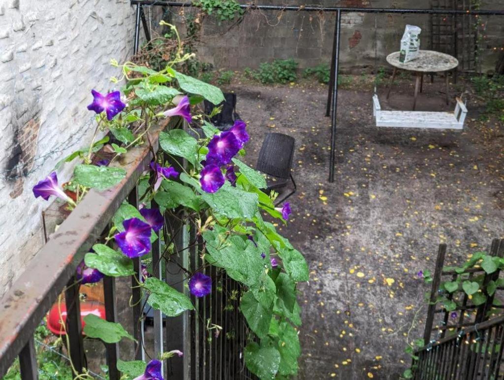 Privatunterkunft Friendly In Williamsburg New York